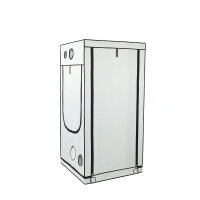 Homebox Ambient Q100