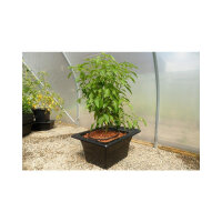 Nutriculture Flo-Gro FG520