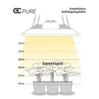 Greenception GC-Pure 80 Watt