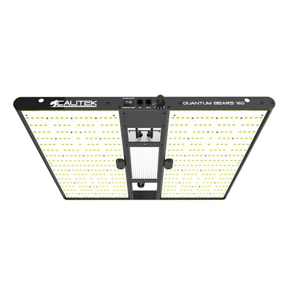 Calitek - Quantum Bears 160 - LED Grow Lampe