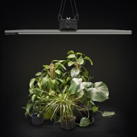 Greenception GCx 25  Gebraucht