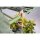 Treegers GL650W+ LED Pflanzenlampe