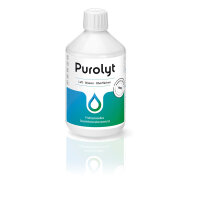 Purolyt Desinfektionskonzentrat 0,5L