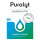 Purolyt Desinfektionskonzentrat 0,5L